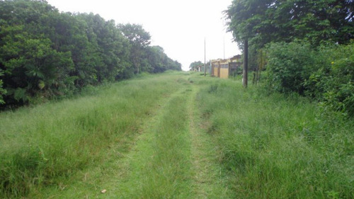 Terreno Lado Praia Escriturado Em Itanhaém - 2599 | Npc