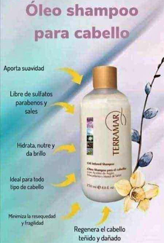 Spray Bifásico+mascarilla+shampoo+oleo Argan Kit Terramar