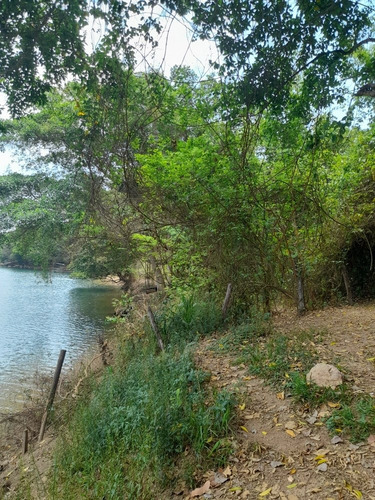 Imagem 1 de 14 de Venda De Terreno No Corumba Iv ( Corumba 4)