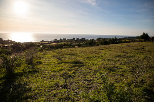 Vista Horizonte Punta De Lobos