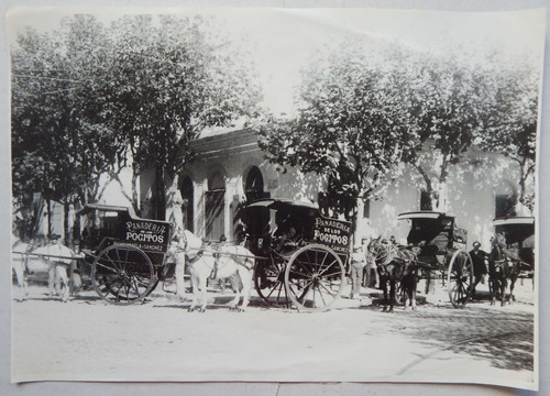 Foto Carros Repartidores Panadería De Los Pocitos Ca. 1920