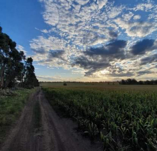 Campo De 60 Has Productivas - Zona: Est. Chapadmalal