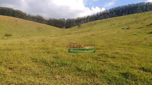 Imagem 8 de 9 de Terreno À Venda, 49000 M² Por R$ 385.000,00 - Mangalô - Taubaté/sp - Te3447