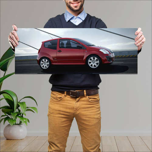 Cuadro 30x80cm Auto 2008 Citroen C2 Vtr 1034 4