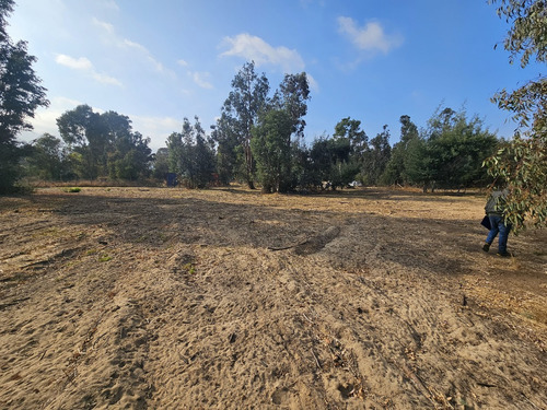 Vendo Sitio De 5580 M2 En Queronque Los Laureles Limache.