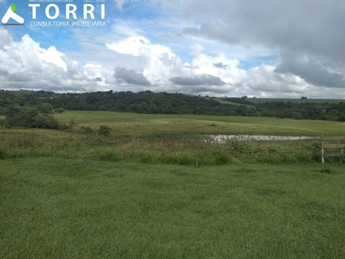 Sítio À Venda Em Porto Feliz - St00138 - 69329856