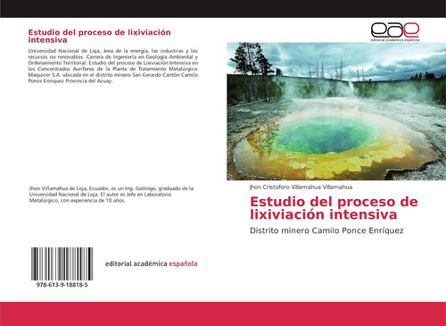 Libro: Estudio Del Proceso De Lixiviación Intensiva: Distrit