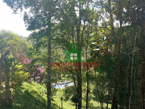 Imagem 12 de 20 de Chácara Com 2000 M² Em Juquitiba-sp Ref.: 856