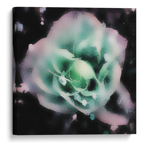 Canvas Lab Cuadro Tarde Rose I 70x70, Danielle Harrington