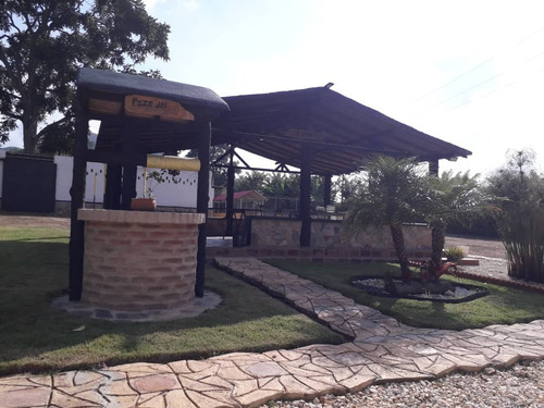 Imagen 11 de 30 de Finca En Bejuma Reyes Arriba