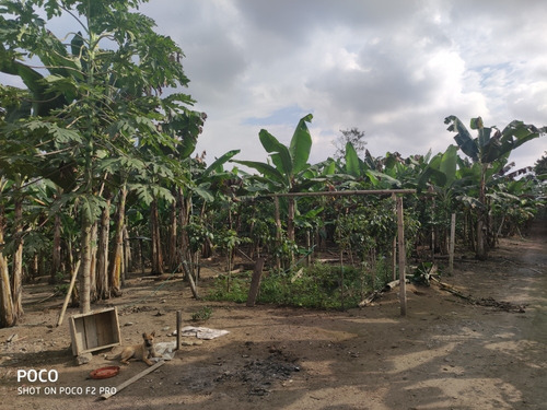 Imagen 3 de 7 de Vendo Finca De 2 Hectáreas