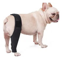 Comprar Joelheira Para Cães Equipamento Para Joelheiras Para Pernas