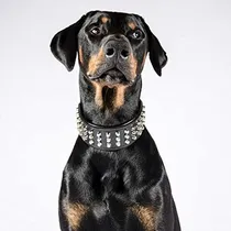Comprar Bestia  Collar De Cuero Genuino Para Perros Grandes. 2.5 Pul