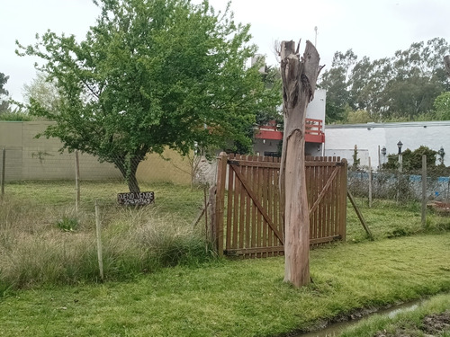 Dueño Vende Terreno 10 X20 Barrio Los Cachorros Echeverry