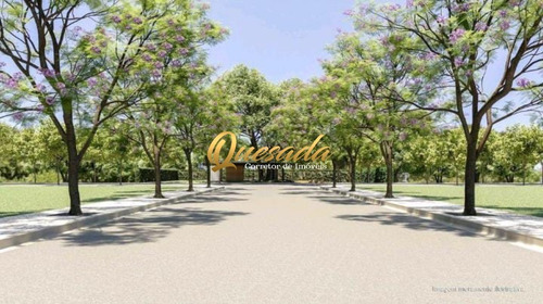 Imagem 17 de 19 de Terreno - Te00232 - 69513001