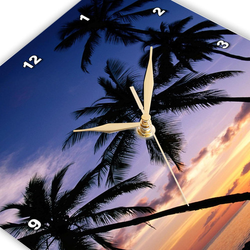 3drose Dpp__1 Palm Perfect Sunset-wall Clock, 10 Por 10 PuLG