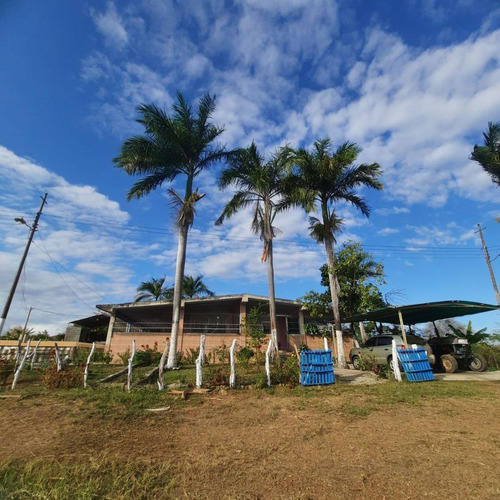 Finca En El Placer, Parroquia Carmen De Cura, Municipio Camatagua Del Estado Aragua. Pfml