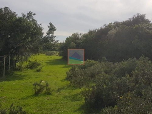 Imagen 10 de 14 de Campo 57 Hás En Garzón
