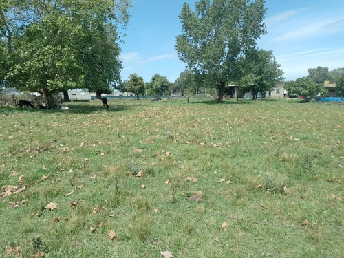 Imagen 5 de 5 de Venta - Lote - Terreno - Navarro