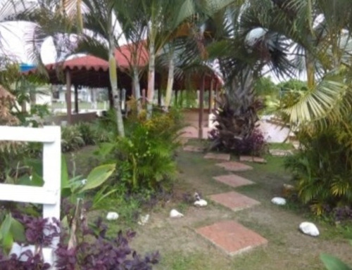 Imagen 3 de 14 de Venta Finca Los Apamates Boca De Aroa Piscina Cod. 426996 Cesar Laurentin