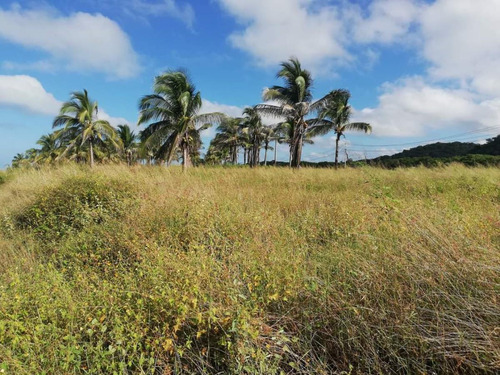 Terreno En Venta En Casas Del Mar