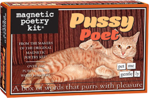 Kit Imantado Parent 2 Magnetic Poetry Pussy