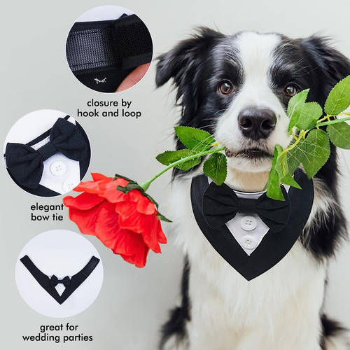 (r-l) Collar Para Perros Y Gatos Con Pajarita En El Cuello,