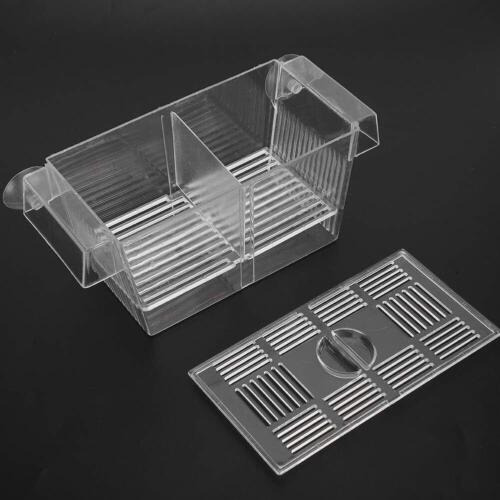 Caja Grande De Aislamiento Para Cría De Criaderos De Guppy P
