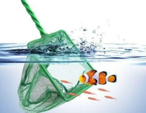 Rede Redinha Fish Net Para Aquarios 8''  20x15x35 Cm Fn-8 Cor Verde-escuro