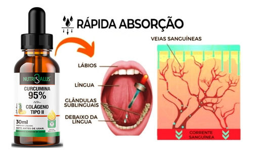 Reumax Curcumina 95% + Colágeno Tipo 2 em Gotas 30ml Sabor Abacaxi - Nutri Salus