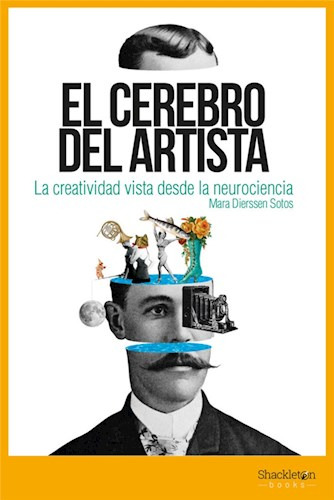 El Cerebro Del Artista, De Mara Dierssen Sotos. Editorial Shackleton En Español