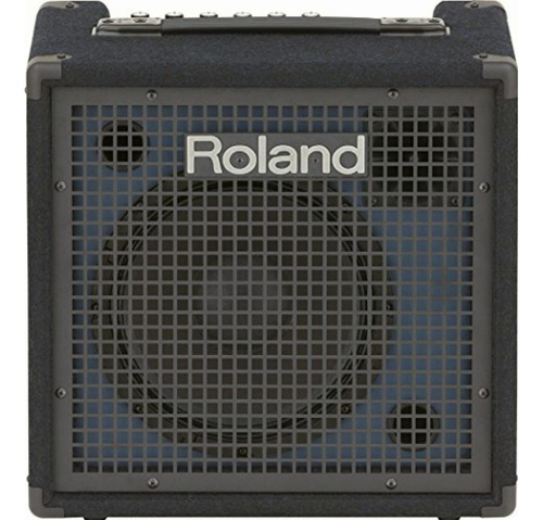 Roland Kc-80 Amplificador