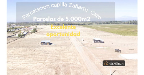 Parcelas En Venta 5000m2 Camino A Cato Chillán