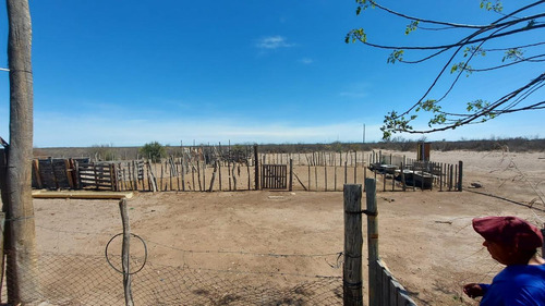 Campo En Venta En Las Catitas, Santa Rosa, Mendoza
