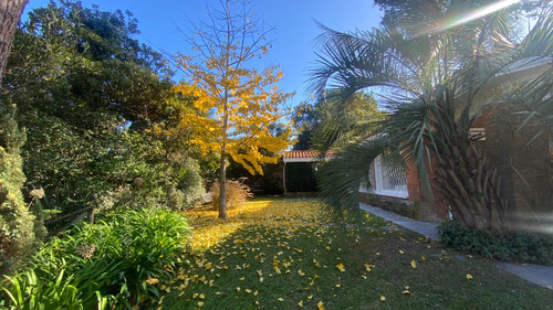 Imagen 23 de 26 de Alquiler Anual Casa Punta Del Este