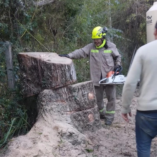 Poda En Altura Profesional, Talas Y Extracciones
