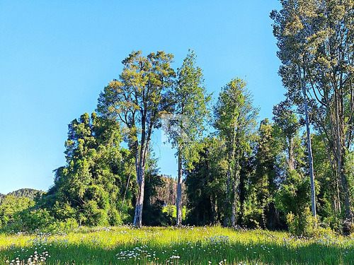 Última Parcela Con Pampa Y Bosque, Condominio Refugio De Luz