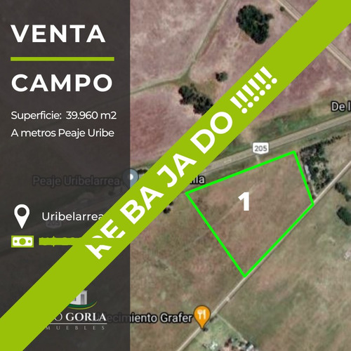 #venta Campo - Lote 1 - Fracciones Uribelarrea - Lobos