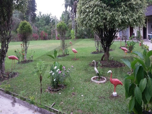 Imagem 7 de 30 de Sítio À Venda Em Miracatu - 163 - 32982536