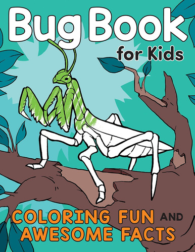 Libro Insectos Niños: Coloreando Hechos Divertidos Y Que?