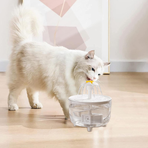 Dispensador De Agua Para Gatos De Agua Para Gatos D