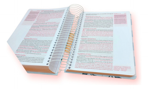 Bonita Biblia Crear Para Ilustrar Rvr60 Journaling Argollada