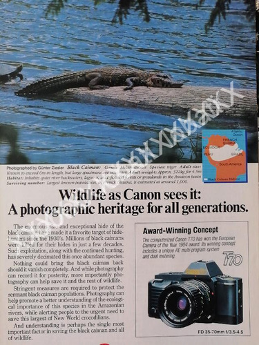 Cartel Retro Camaras Fotograficas Canon T70 1980s /520