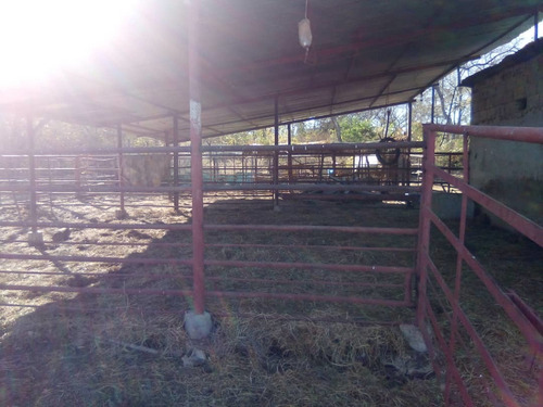 Imagen 8 de 14 de Finca Con 1.100 Hectáreas De Terreno Propio Tu Oportunidad