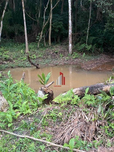Imagem 10 de 23 de Chácara À Venda, 2800 M² Por R$ 440.000,00 - Verava - Ibiúna/sp - Ch0040