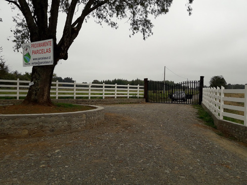 Parcela 5000 M2 Lago Ranco