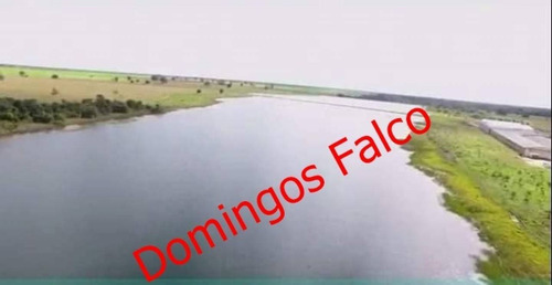 Venda - Fazenda - Zona Rural - Goiânia - Go - D0474