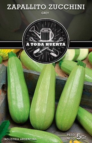 Imagen 1 de 5 de Semillas Zucchini Zapallito Alargado X Sobre Huerta En Casa