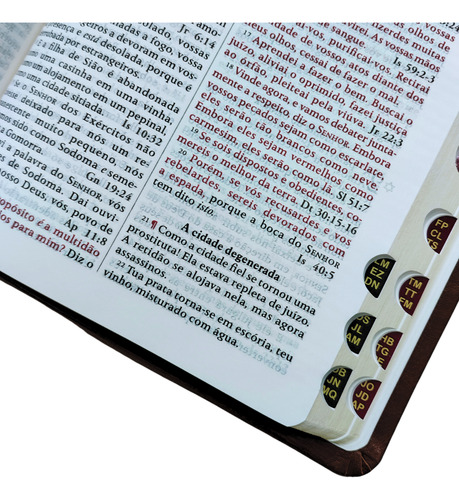 Biblia King James 1611 Com Pilcrows, Referencias, Profecias Messianicas E Palavras Em Vermelho - Capa Luxo Caramelo Com Indice