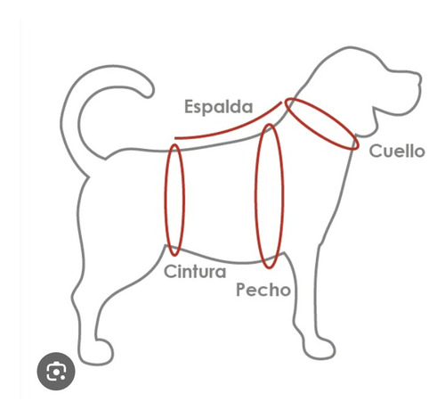 Camiseta De Fútbol Para Perros River Plate